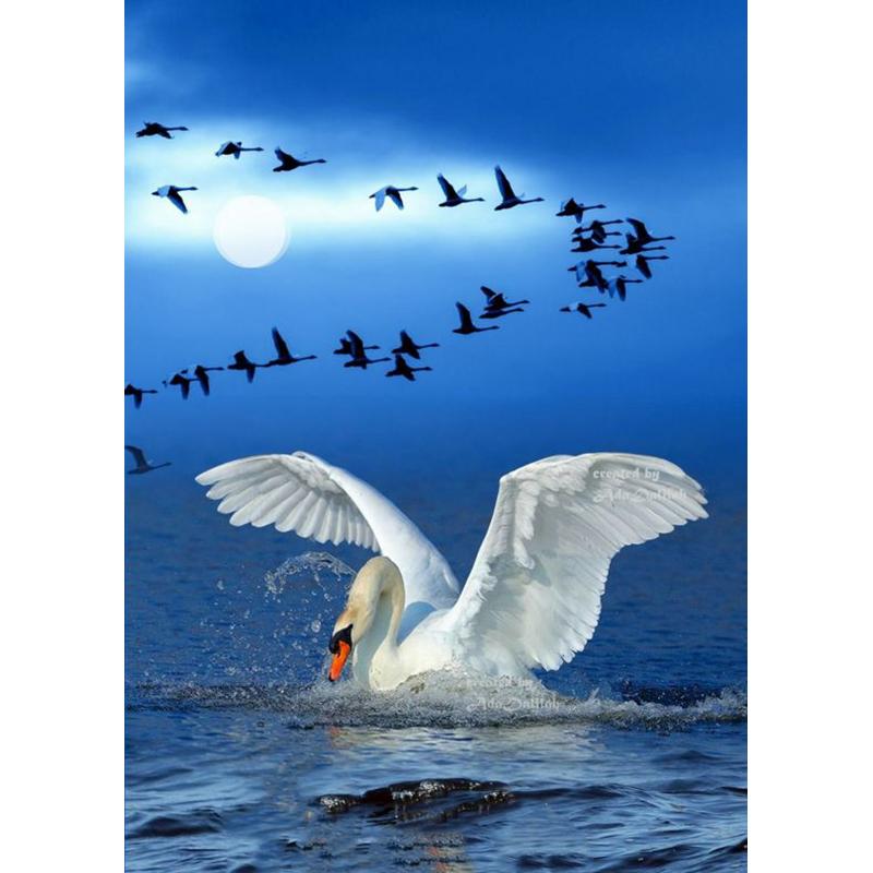 DIY Лебедь 5D алмазная живопись полная круглая дрель Алмазная вышивка животные стразы набор для вышивки крестом подарок домашний декор