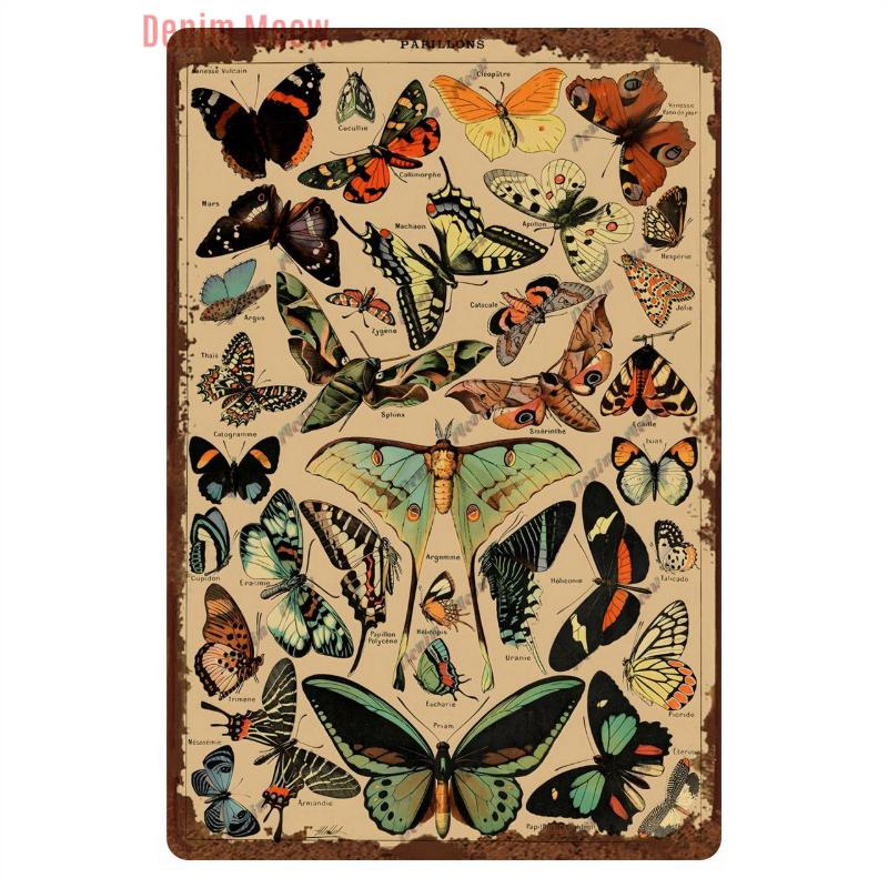 Funny Plants Metal Tin Sign Vintage English Flowers Retro Fruits Butterflys Animals Wall Poster Home Plates WY