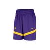 Los Angeles Lakers Dri-FIT NBA Color Block Logo Training Прямые баскетбольные брюки мужские низ Deep-фиолетовый DZ3722-504