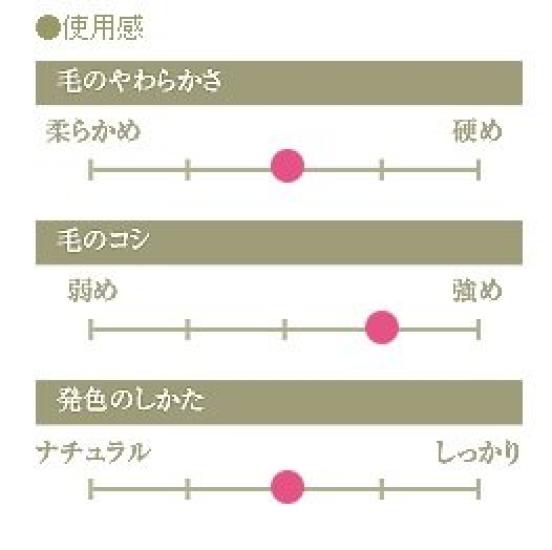 Кисть для макияжа Kumano Brush Chikuhodo Genuine G Series Hiroshima G-1 для пудры/щек (Материал щетины Sokoho)