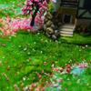 Material Garden Artificial Moss DIY Accessories Micro Landscape Decoration Artificial Grass Powder