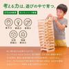 KARAKARATSUMIKI Wooden Building Blocks 240 Pieces Made in Japan 100% Miyazaki Cedar Montessori Toy