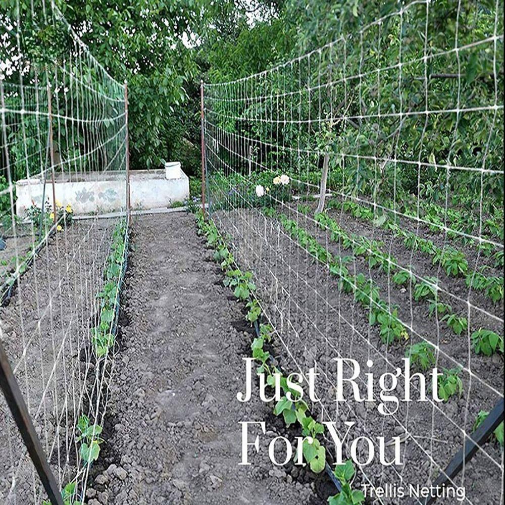 1 шт. 5x30 футов сетка для вьющихся растений многоцелевая сетка для поддержки растений прочная сетка для шпалер вьющиеся растения