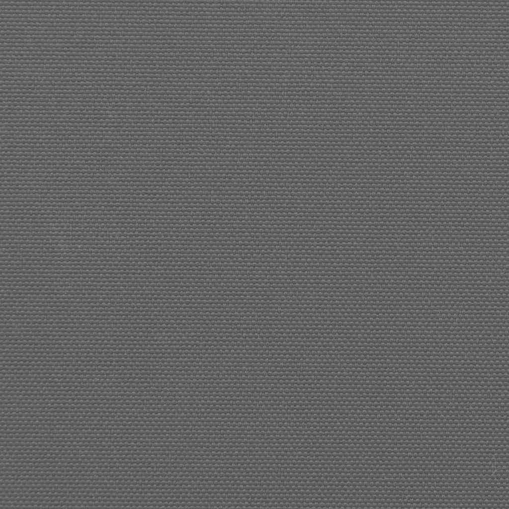 Retractable Side Awning Anthracite Grey 120 x 1000 cm