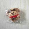 [USED] RIIZE Anton Seoul Concert Plush Keychain RIIZINGLOUD1