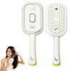 jijijing Electric Steam Brush with Essence & Measuring Cup, Rechargeable Anti-Static Scalp Massager Spray Brush, Frizz Control Hair Oil Misting