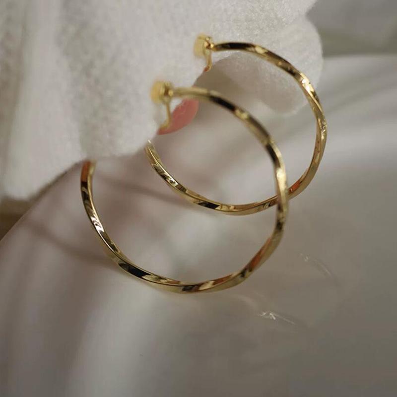 Simple and Versatile Circle Earrings, New Trendy Women's Niche Design, High-end Temperament, Light Luxury Accessories