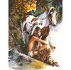 5D DIY Алмазная мозаика Алмазная вышивка Индейцы с лошадью Вышитая крестиком Украшение дома