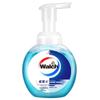 Walch Foam Antibacterial Hand Wash Set