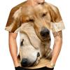 Golden Retriever Pattern T-Shirt For Men Cute Animals 3D Printed Tees Summer Casual Short Sleeves Harajuku T Shirts O-Neck Tops