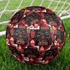 Delta Sigma Theta Size 5 Soccer Ball,Indoor/Outdoor Suitable for Training Matches Tournaments Practice Games Perfect Gift for Fan
