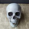 Realistic Human Skull Model - Halloween Decoration Prop for Haunted Houses - Creepy Skull Ornament Convenient Home Decor