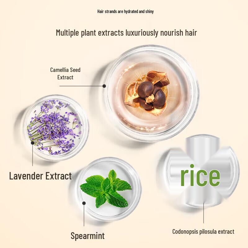 Seeyoung Tea Seed Oil Control Anti-Dandruff Conditioner