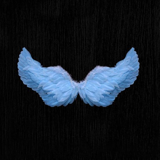 Дети Крылья Ангела Девочки Принцесса Костюм Регулируемые Перья Фея Крылья Косплей Сценическое Представление