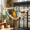 Bite Resistant Parrot Climbing Perch Suction Cup Hanging Bird Swing Bird Swing Toy  Bird Cages