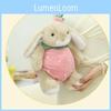 Orange Coconut Fruit Bear Strawberry Rabbit Plush Toy Cute Baby Doll Figure