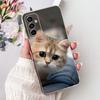 Case For Samsung Galaxy M13 M23 M33 M53 5G Cover SM-M236B SM-M336B SM-M536B SM-M135F Popular Dragon Cartoon Soft Silicone Bumper