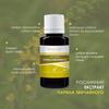 Agrimony Extract Tincture Herbal Liquid Supplement Dietary New Life