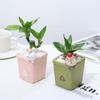 Cute Animal Resin Flower Pot Succulent Plant Pot Planter Home Decor Desktop Ornaments Bonsai Garden Decoration