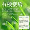 Официальный зеленый сок Asahi Ryokuken Green, 90 пакетиков x 90, диетический порошок из молочной кислоты ячменя (3,5 г пакеты) трава, бактерии, олигосахариды, волокна,