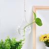 Creative Home Decoration Garden Supplies Hanging Glass Plant Pot Terrarium Container Glass Vase