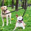 Double Headed Pet Leash - Adjustable Nylon Car & Outdoor Leash For Dogs/Cats, Durable Retractable Traction Rope