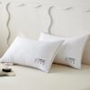 Crown Antibacterial Pillow Core Set of 2