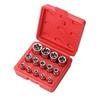 14 Pcs E-Torx Hexagonal Plum Socket Set with Case 1/4, 3/8, 1/2 In Drive Female External Star Socket Set E4-E24 Torque Sockets