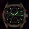Perpaminta Men's Luminous Fashion Formal Luxury Wristwatch