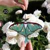 [2D Flat] 1pc Acrylic Sun Catcher with Green and Black Butterfly Design, Perfect for Home, Garden, or Nature Lover's Outdoor Decor, Butterfly Ornament