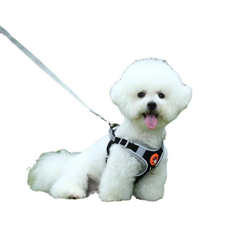 Дышащая шлейка-жилет для собак мелких пород и поводок