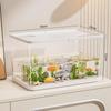 Pet  Transparent Mini Fish Tank Aquarium Drop Resistant Hydroponic With Lid Ecological Desktop Home Lazy Tank Turtle Tank