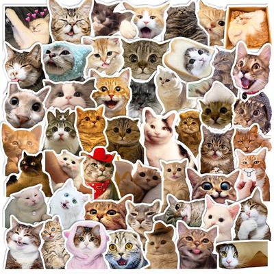 50 Наклеек с котиками Милые Милые котики Милые Котики-интернет-знаменитости Набор смайликов Граффити-наклейки