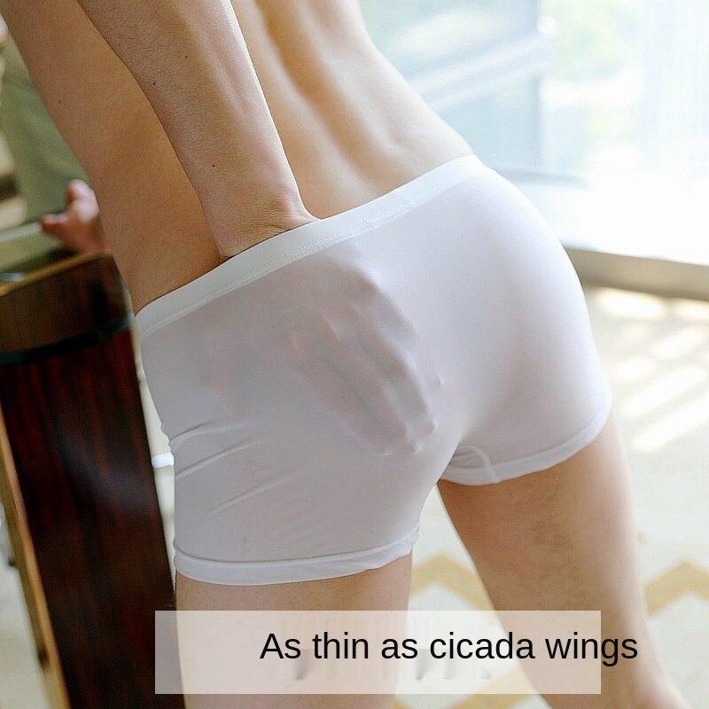 2025 Summer High Quality Ultra-thin Ice Silk Transparent Men's Underwear Youth Elastic Large Size Panties