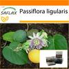 Garden in the Bag - Sweet Granadilla - 20 семян - С субстратом в подходящем пакете-стойке - Passiflora ligularis
