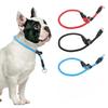 Собачий ошейник Цепь-петля для выгула собак Регулируемый ошейник-петля для собак Веревка-петля Ошейники для питомцев Нейлоновая шлейка для собак Веревка для обучения щенков Товары для питомцев