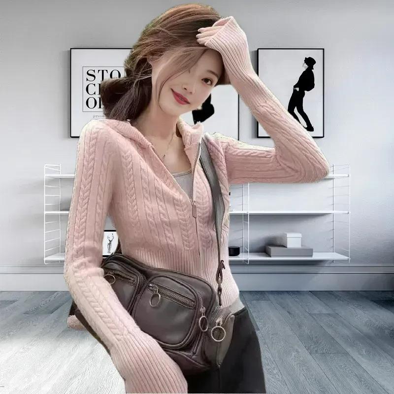 Маленький кардиган с капюшоном, вязаный косичкой, женский, весенний, новый, облегающий и тонкий, короткий свитер-жакет, топ