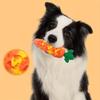 Bite Resistant Dog Interactive Toy Sound Feature Dog Chewing Toy  Pet Supplies