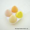 Super Soft Beauty Sponge Makeup Egg Set - Non-Absorbing Puff Cushion