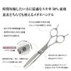 Deeds Professional Thinning Scissors with Forged Handle 15 thinning Japanese Scissors Hairdressers and Barbers (6.0 inches, teeth, 50% rate) GD-615T,
