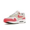 Nike Air Max 1 Aster Pink женские кроссовки Белый Светло-Orewood-Коричневый Черный DZ2628-110
