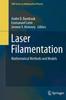 Книга Laser Filamentation : Mathematical Methods and Models