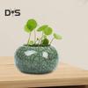 Керамическая чаша для выращивания лотоса, круглый мини-горшок для цветов, глазурованная чаша для бонсай, горшок для посадки щитолистника, небольшие гидропонные растения