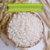 Qunyan Northeast Cold Land Rice