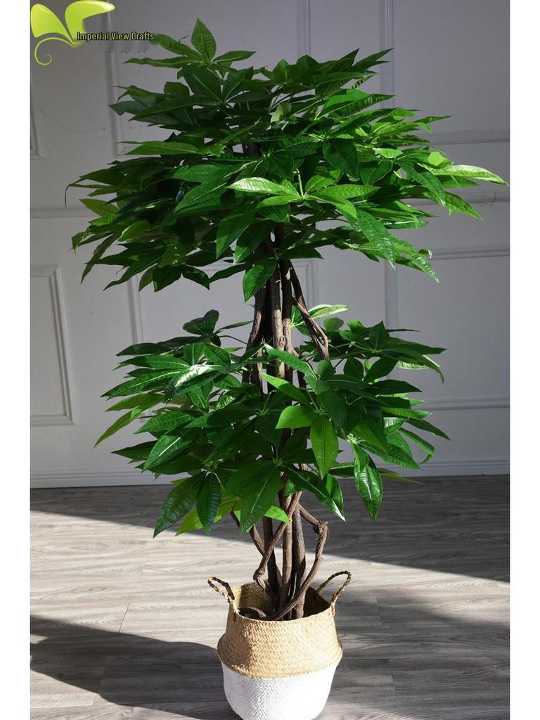 Eco-friendly Artificial Money Tree Bonsai with Real Trunk - Floor-standing Home Decor for Entrance & Garden, Attracts Wealth.