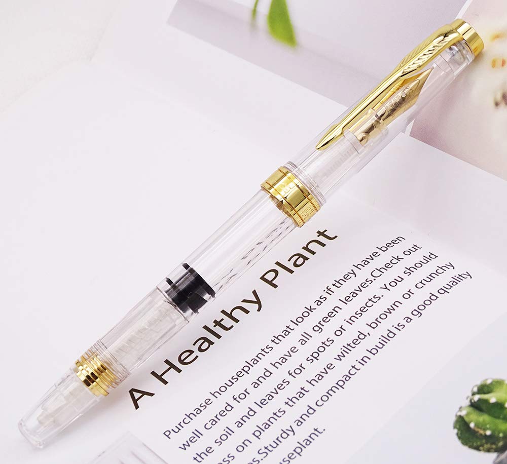 Перьевая ручка Yongsheng с тонким кончиком, прозрачным стержнем, золотой отделкой, винтовым зажимом со стрелкой из 4 шт. (Установить цвета)