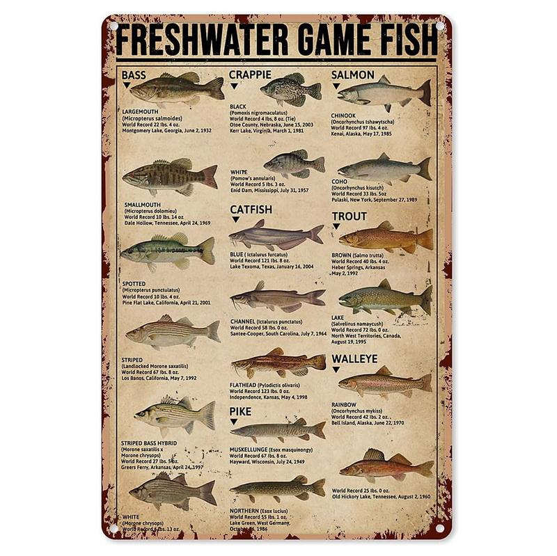 Металлические жестяные таблички Плакат Туалетная комната Туалет Настенное украшение Винтажная железная живопись Художественные постеры для мужской пещеры Дома Кафе Сада Клуба Бара