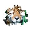 Puzzle 500 pièces + poster : Jaguar dans la jungle