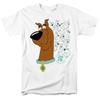 Футболка Scooby-Doo "Эволюция Скуби-Ду" - до 5XL
