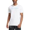 Adidas Mercedes Amg Petronas Formula Team Dna Graphic T Shirt JV5456